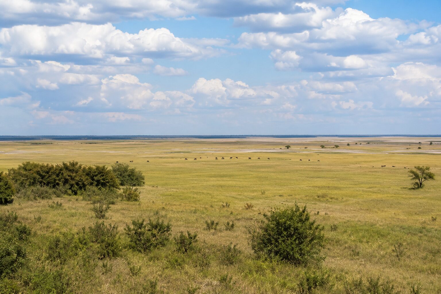 Landscapes
