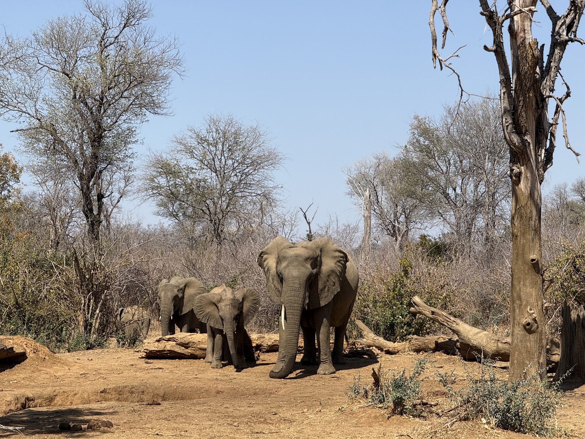 The Afari Lens