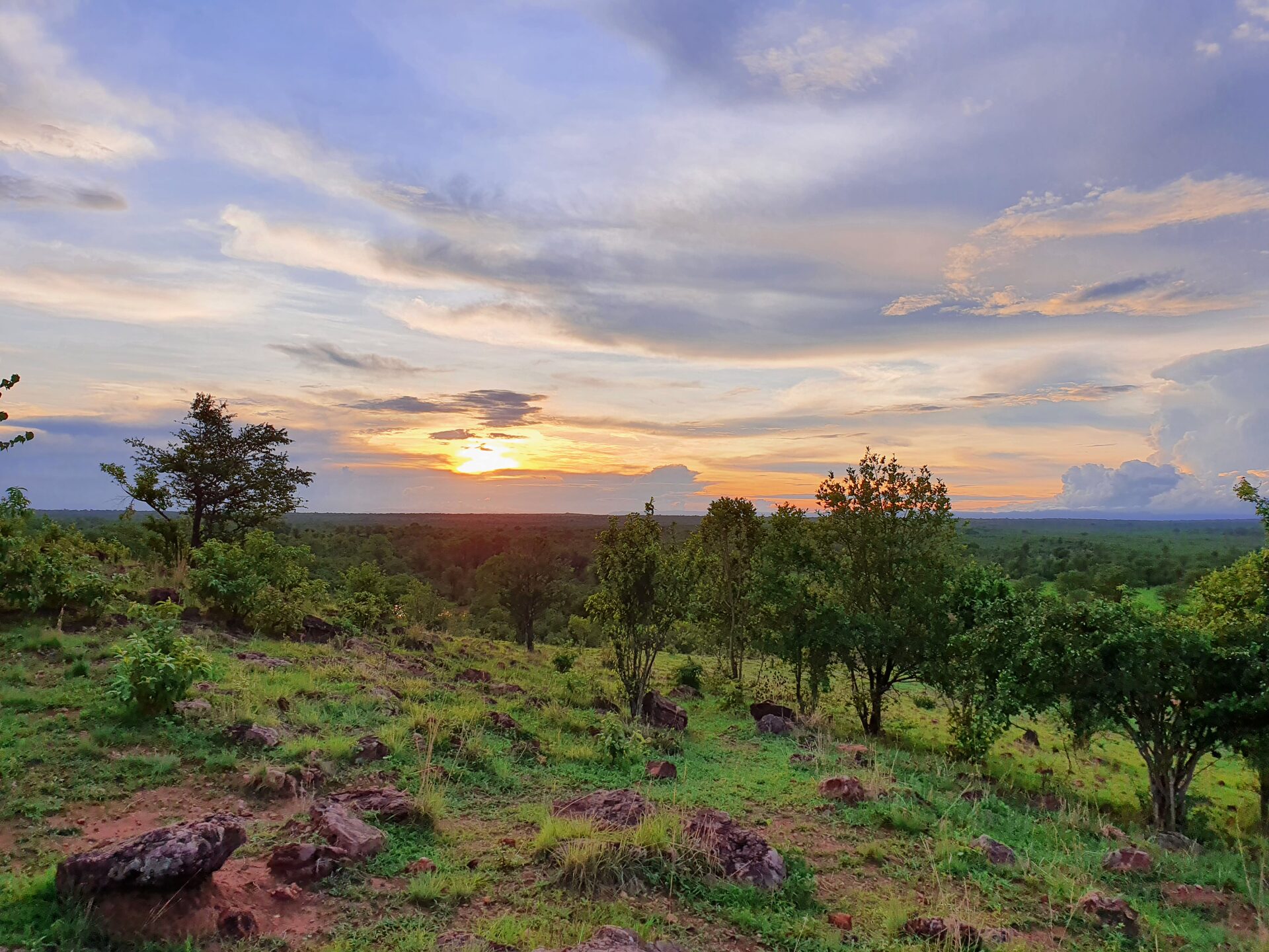 Wild Sunset