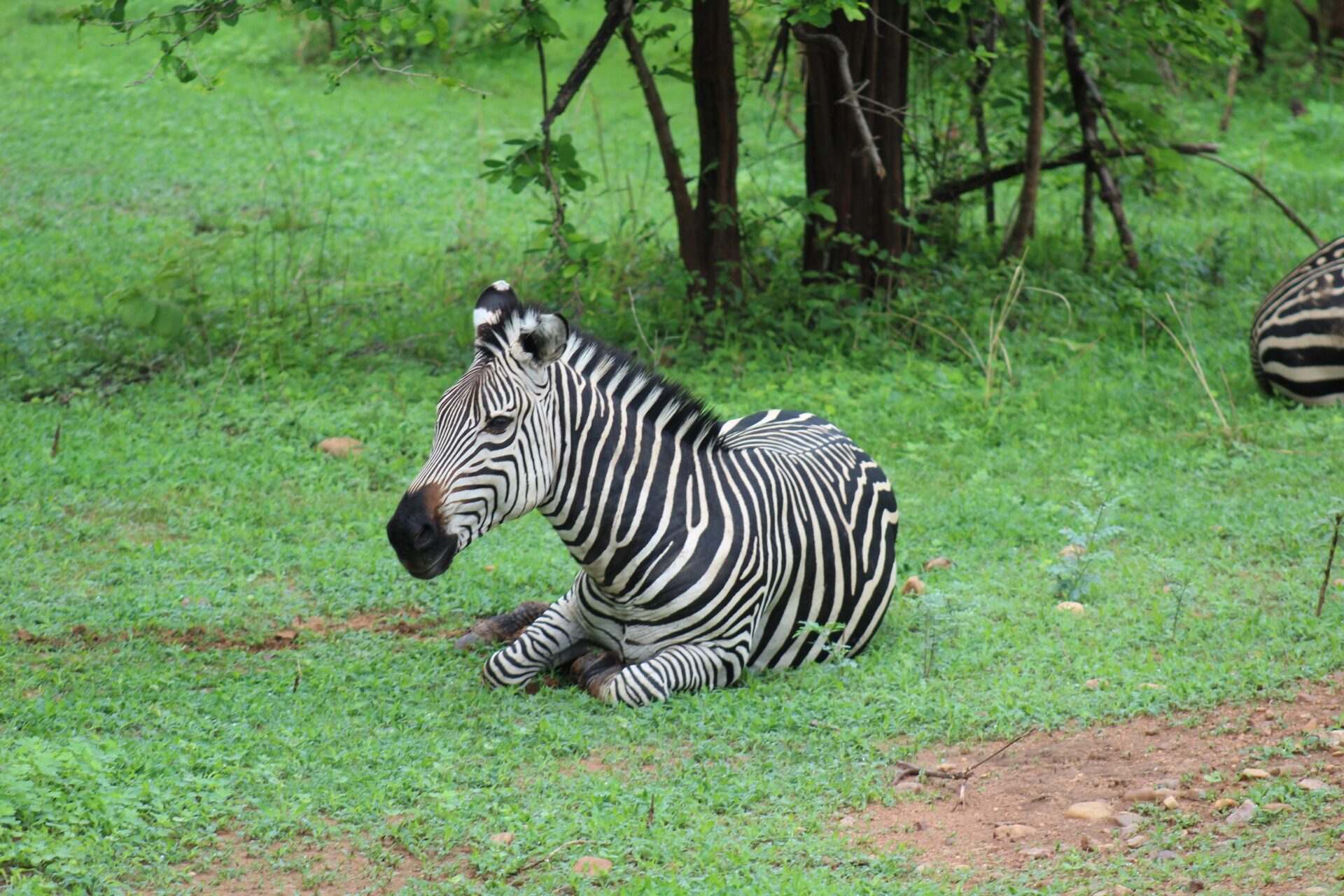 Zambian Cultural Heritage Expedition