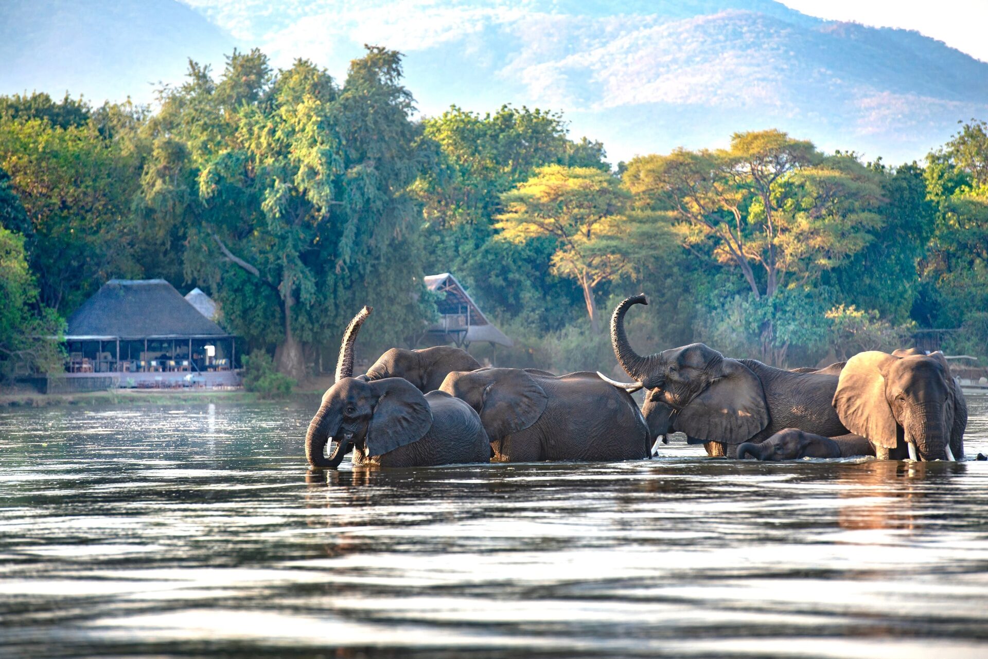 Canoe on the Zambezi at dawn