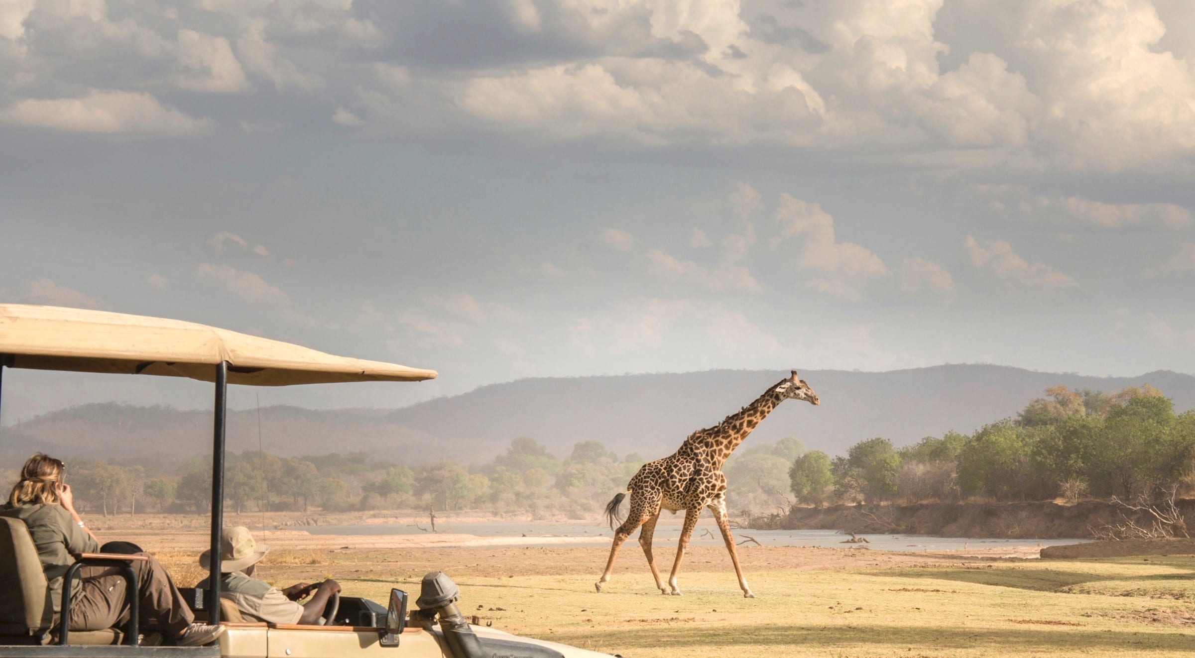 Thornicroft's Giraffe Viewing (endemic subspecies)