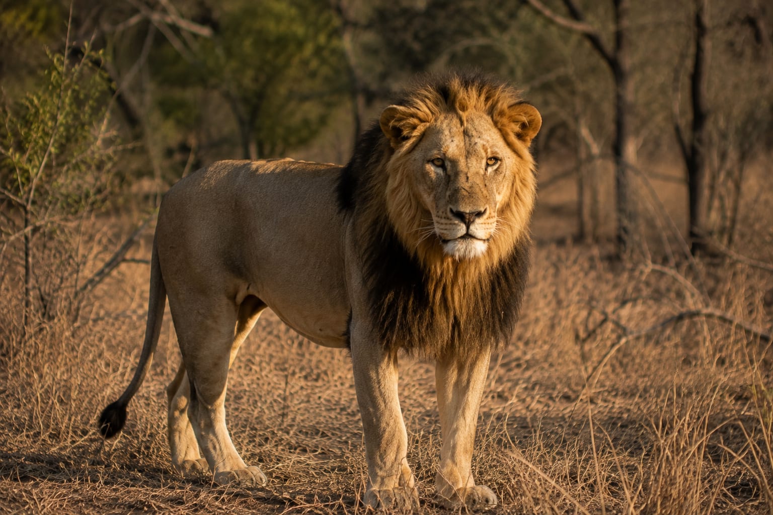 Conservation
